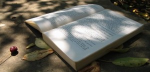 Writing an ebook