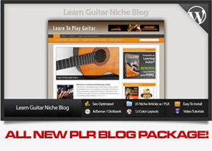 Learn to Play Guitar Niche
